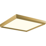 Skylight Flush Ceiling Light - Brushed Champagne / Acrylic