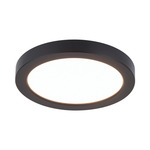 Round Wall / Ceiling Light - Black