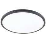 Round Wall / Ceiling Light - Black