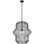 Orsay Indoor / Outdoor Pendant - Matte Black / Clear