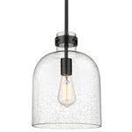 Pearson Pendant - Matte Black / Clear Seedy