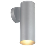 Matira Turtle Friendly Outdoor Wall Sconce - Satin