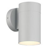 Matira Turtle Friendly Outdoor Wall Sconce - Satin