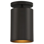 Pint Dark Sky Outdoor Ceiling Light Fixture - Matte Black