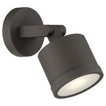 Zone Outdoor Wall Sconce - Bronze / Frosted