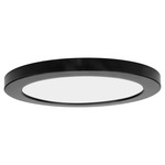 ModPLUS Color Select Ceiling Light Fixture - Black / Acrylic