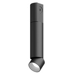 Entra 2 Inch LED Adjustable Cylinder Ceiling Light - Black / Brushed Aluminum