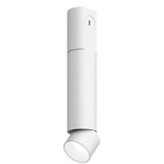 Entra 2 Inch LED Adjustable Cylinder Ceiling Light - White / White