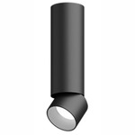 Entra 2 Inch LED Adjustable Cylinder Ceiling Light - Black / Brushed Aluminum