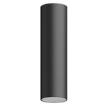 Entra 2 Inch LED Fixed Cylinder Ceiling Light - Black / Brushed Aluminum