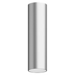 Entra 2 Inch LED Fixed Cylinder Ceiling Light - Brushed Aluminum / White