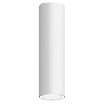 Entra 2 Inch LED Fixed Cylinder Ceiling Light - White / White