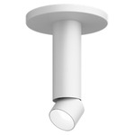 Entra 2 Inch LED Adjustable Cylinder Ceiling Light - White / White