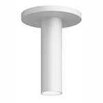 Entra 2 Inch LED Fixed Cylinder Ceiling Light - White / White