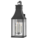 Beacon Hill Outdoor Wall Sconce - Museum Black / Clear Seedy