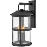 Lakehouse 120V Outdoor Wall Sconce - Black / Clear Seedy