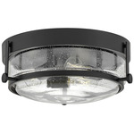 Harper Ceiling Light - Black / Clear Seedy