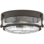 Harper Ceiling Light - Oil Rubbed Bronze / Clear Seedy