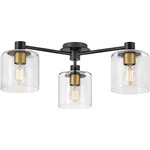 Axel Ceiling Light Fixture - Black / Clear