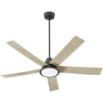 Temple Ceiling Fan - Black / Weathered Gray