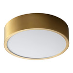 Peepers 10 Inch Wall / Ceiling Light - Aged Brass / Matte White