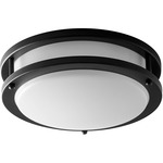 Oracle 10 Inch Wall / Ceiling Light - Black / Matte White