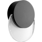 Pavo Outdoor Wall Sconce - Black / Clear