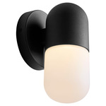 Corpus Outdoor Wall Sconce - Black / Matte White