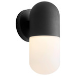 Corpus Outdoor Wall Sconce - Black / Matte White