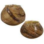 Tortoise Glass Vase Set of 2 - Brown
