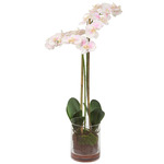Blush Orchid Centerpiece - Pink