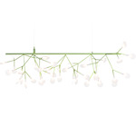 Heracleum III Endless Linear Suspension - Green / White