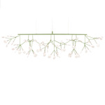 Heracleum III Linear Pendant - Green / White