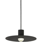 Eaves Pendant - Nightshade Black / Clear
