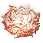 Veli Wall / Ceiling Light - Chilli