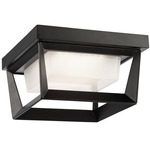 Waterbury Outdoor Ceiling Light - Black / Frosted