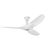 Haiku Low Profile Outdoor Ceiling Fan - White / White