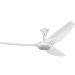 Haiku Low Profile Outdoor Ceiling Fan with Downlight - White / White