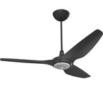 Haiku Universal Mount Outdoor Ceiling Fan with Downlight - Black / Black