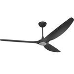 Haiku Universal Mount Outdoor Ceiling Fan with Downlight - Black / Black