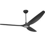 Haiku Universal Mount Outdoor Ceiling Fan with Downlight - Black / Black