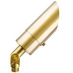 Denali Outdoor Directional Light 12V - Brass