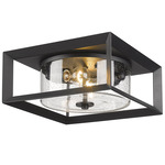 Smyth Outdoor Ceiling Light Fixture - Natural Black / Clear Seeded
