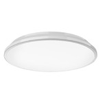 Brook Ceiling Light - White / Frosted