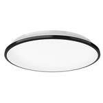 Brook Ceiling Light Fixture - Black / Frosted