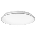 Brook Ceiling Light Fixture - White / Frosted