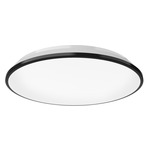 Brook Ceiling Light Fixture - Black / Frosted