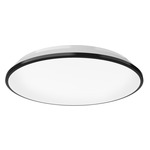 Brook Ceiling Light - Black / Frosted