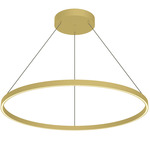 Cerchio Pendant - Brushed Gold / Frosted