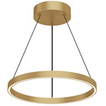 Cerchio Pendant - Brushed Gold / Frosted